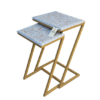 Mother of Pearl Inlay Floral Nesting Tables | Side Table